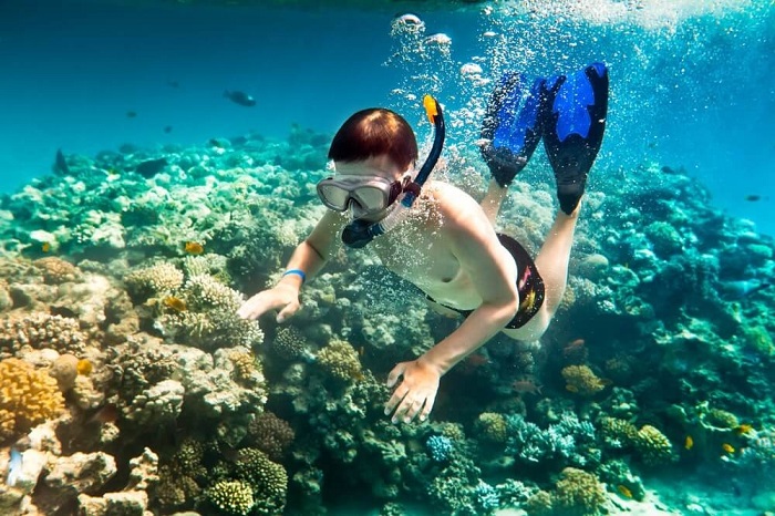  địa điểm ngắm san hô đẹp nhất ở Phú Quốc -Hòn Thơm