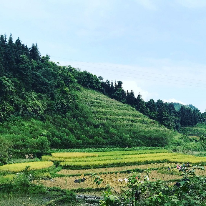 What's good about Phuong Thien Ha Giang tourism?