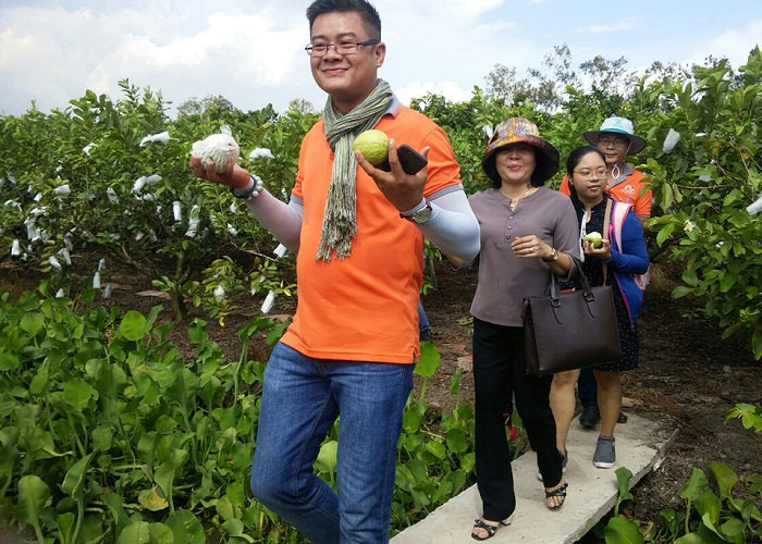 Tam Ngoc guava garden eco-tourism area - visit