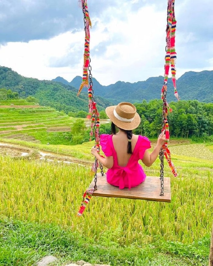 Pu Luong in the ripe rice season - Puluong Natura