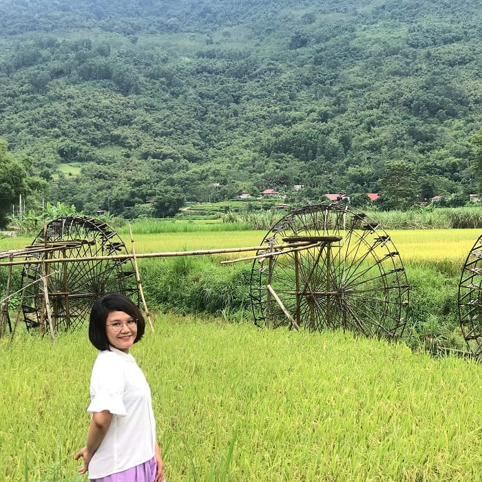 Pu Luong in the ripe rice season - Chieng Lau terraced fields