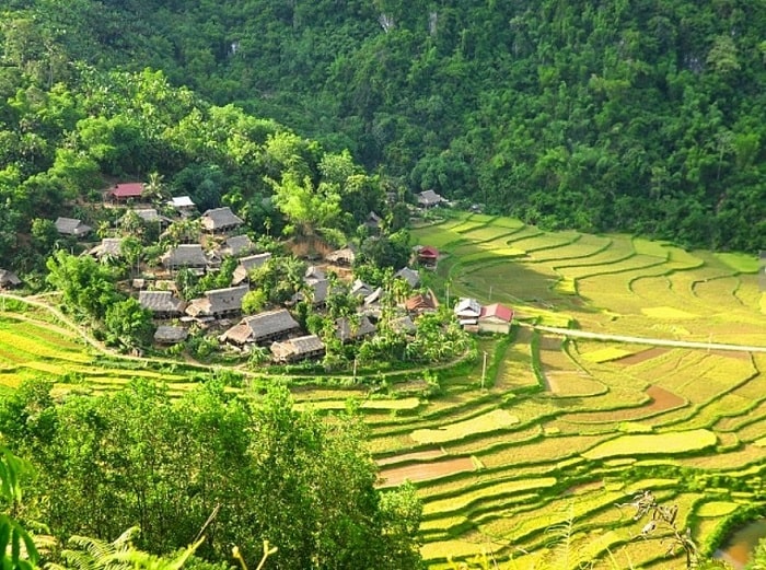 Pu Luong in the ripe rice season - Ban Uoi