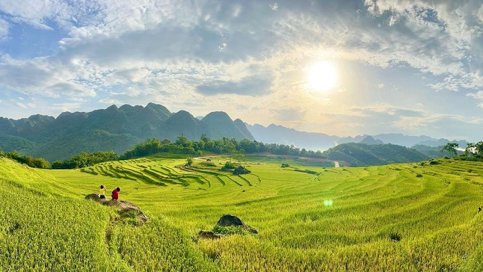 Pu Luong in the ripe rice season - visit the village