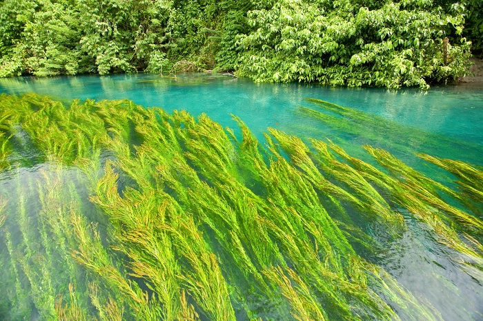 Sông Sivoli - du lịch Papua New Guinea