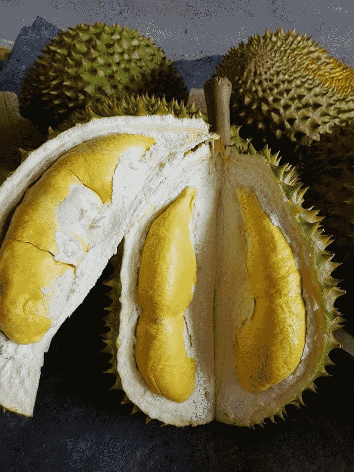 Which month is the durian season - Heaven