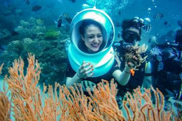 ‘Bỏ túi’ những địa điểm ngắm san hô đẹp nhất ở Phú Quốc đi một lần là mê