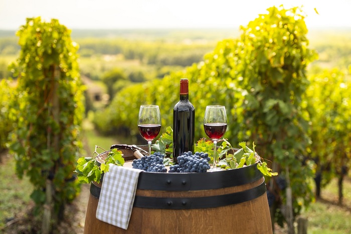 Rượu vang Bordeaux - du lịch miền nam nước Pháp