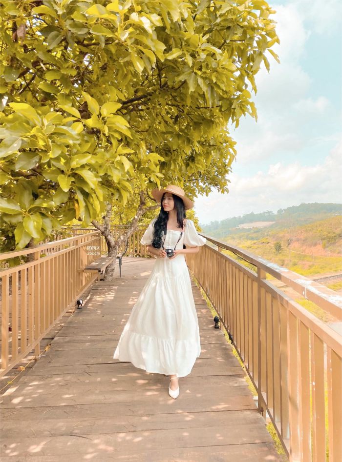 Đường cầu gỗ Mộc Trà Farm con đường đẹp ở Đà Lạt
