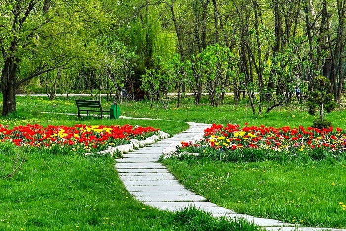 Công viên Dendrarium là điểm tham quan nổi bật ở thị trấn Velingrad Bulgaria