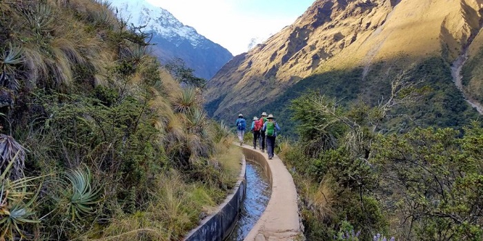 Đi bộ trong rừng mưa nhiệt đới là điều nên làm khi đến núi Salcantay Peru