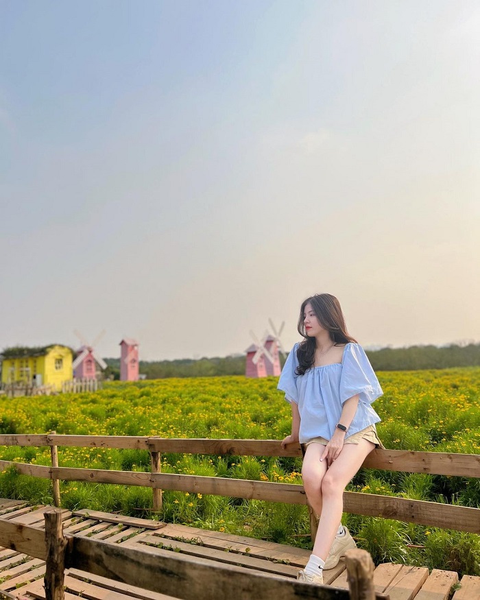 địa điểm chụp ảnh ở Hà Nội - thảo nguyên hoa Long Biên