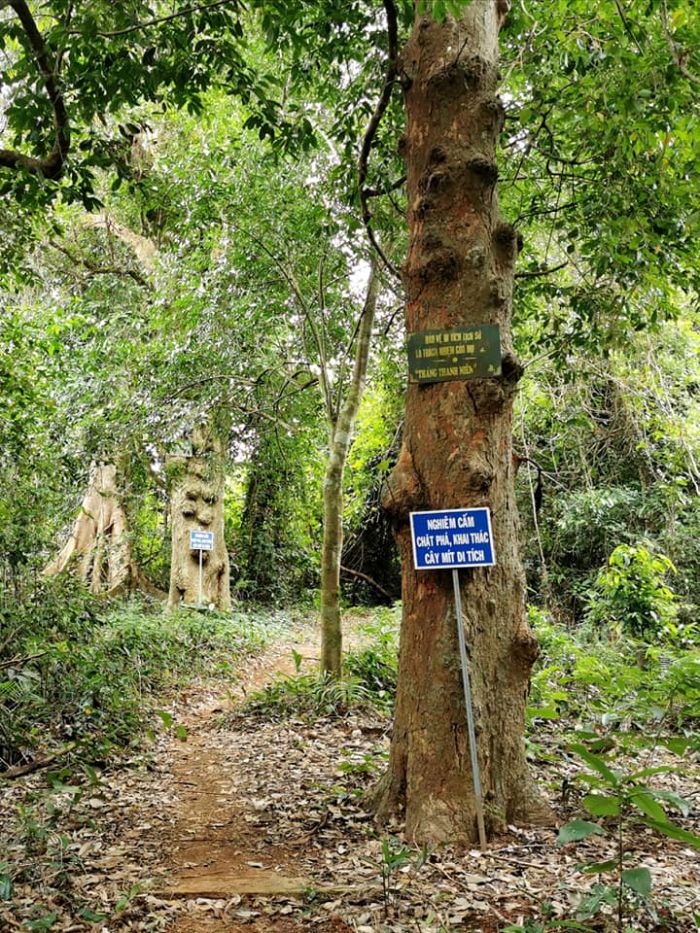 Vườn Mít - Cánh Đồng Cô Hầu điểm du lịch ở Kbang Gia Lai