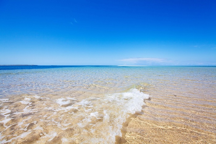 Công viên Quốc gia Quirimbas - du lịch Mozambique