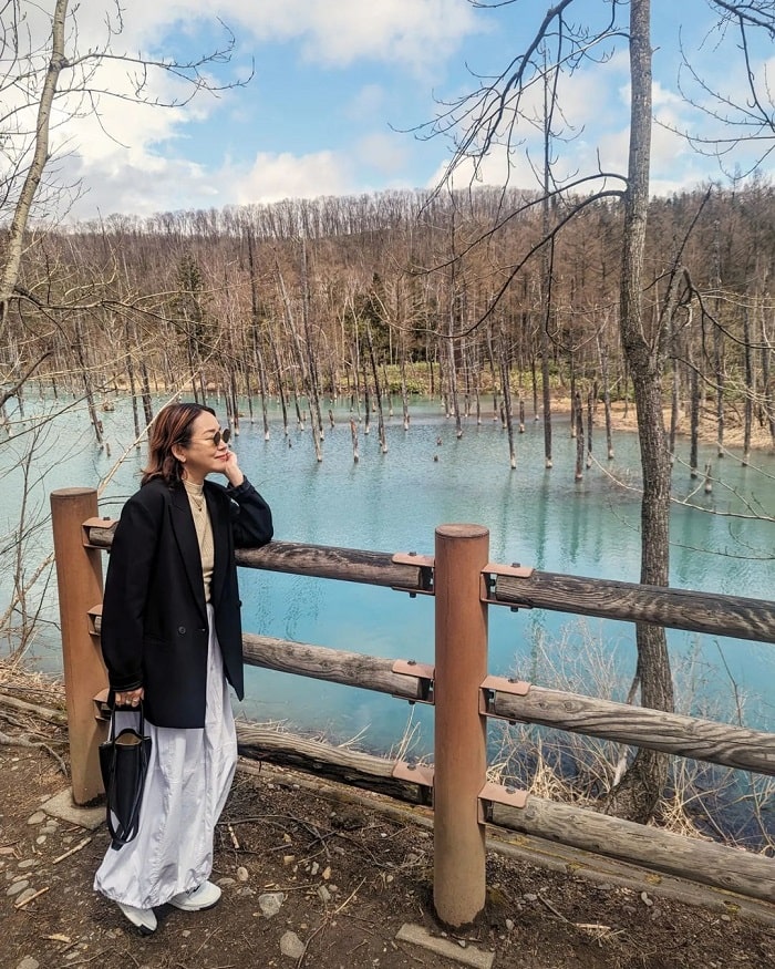 Hàng cây ở hồ xanh Biei Hokkaido Nhật Bản