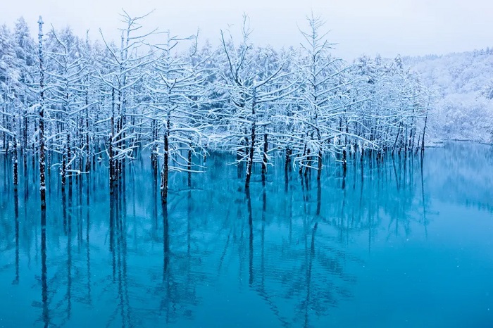 Mùa đông ở hồ xanh Biei Hokkaido Nhật Bản