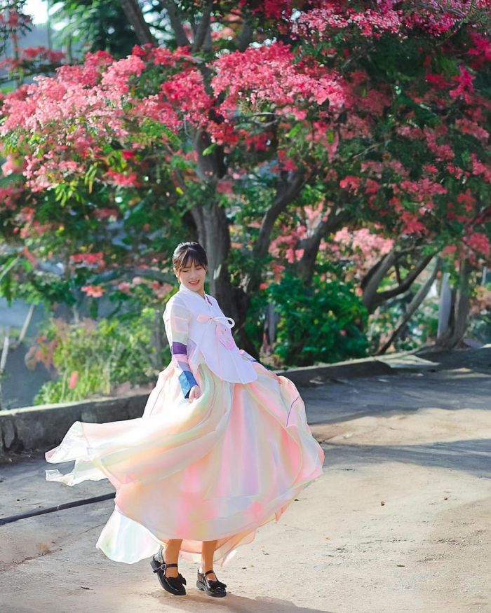 Nguyen Du Park in the pink phoenix season in Dalat
