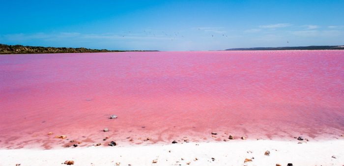 Màu nước ở hồ Hillier Úc
