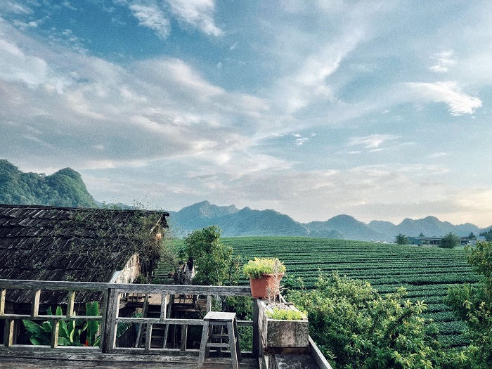 Cafe Mer is a beautiful cafe in Moc Chau with a view of the tea hill