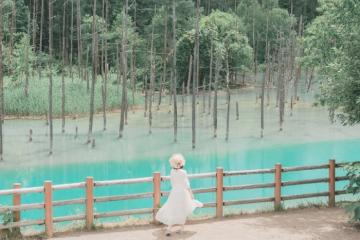 'Sững sờ' trước sắc xanh đầy mê hoặc ở hồ xanh Biei Hokkaido Nhật Bản