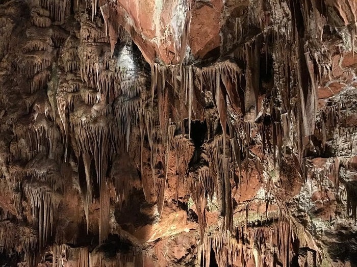 Thạch nhũ bên trong hang động Saeva Dupka Bulgaria 