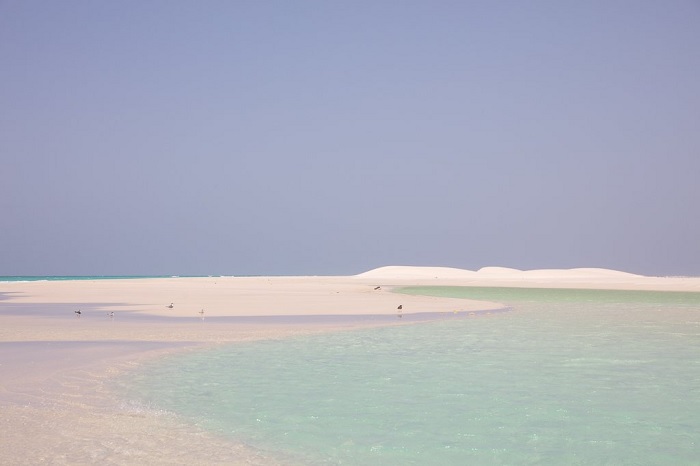 Những bãi biển Socotra tuyệt đẹp - Du lịch đảo Socotra