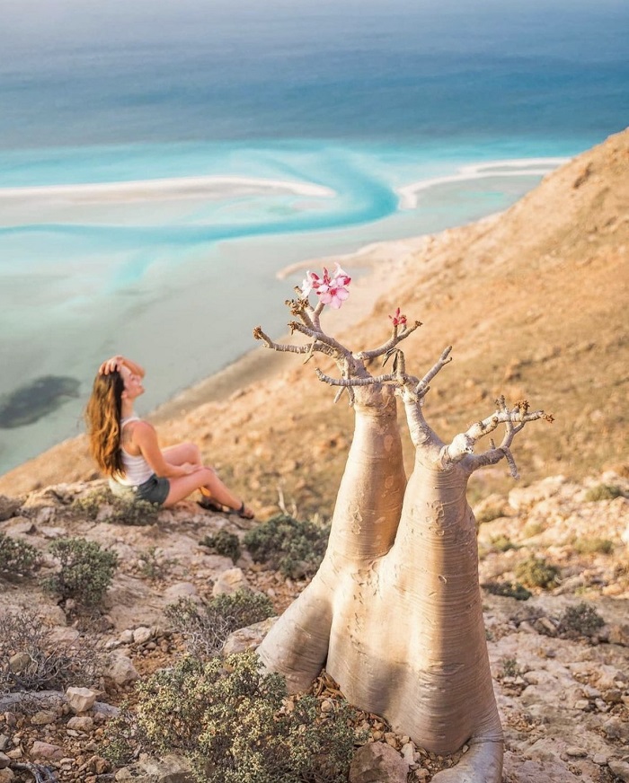 Nội địa của hòn đảo là nơi có sa mạc và cảnh quan cằn cỗi - Du lịch đảo Socotra