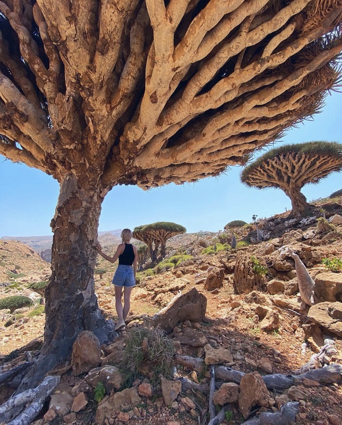 Du lịch đảo Socotra