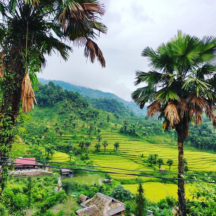 Bản Liền là bản làng đẹp của người Tày nằm ở Lào Cai