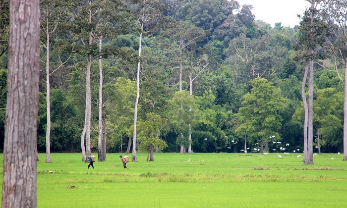địa điểm tránh nóng ở Sài Gòn - Tà Lài (Đồng Nai)