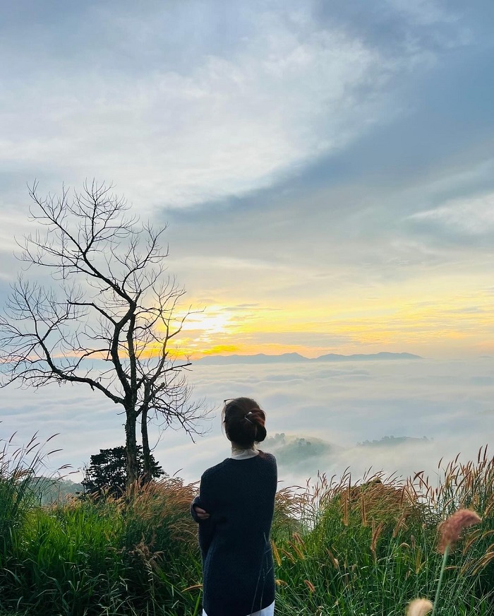 Bảo Lộc là địa điểm săn mây ở miền Nam có biển mây dày đặc