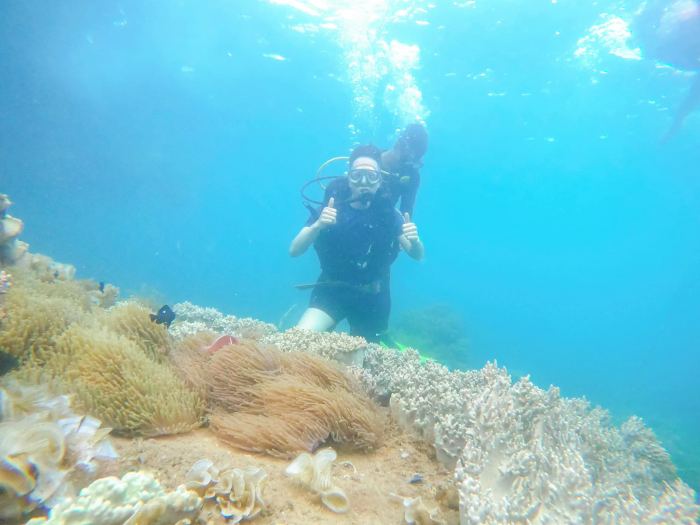 Kinh nghiệm lặn ngắm san hô ở Phú Yên