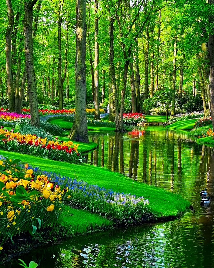 Hà Lan là quốc gia hạnh phúc nhất thế giới khiến du khách thương nhớ