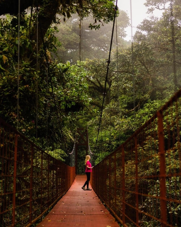 Rừng mây Monteverde Costa Rica