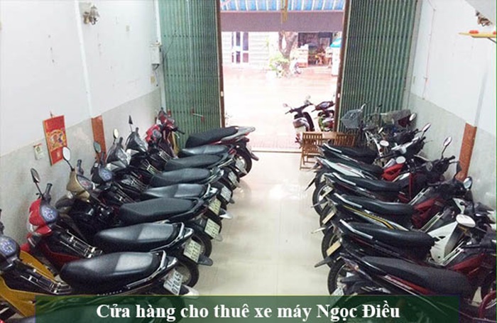 thuê xe máy Nam Định - Ngọc Điều