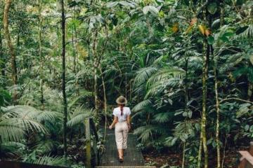 Thiên đường sinh thái ở Costa Rica gọi tên rừng mây Monteverde