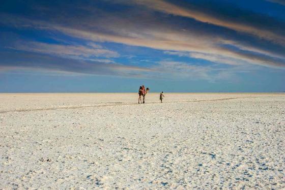 Trải nghiệm vùng đất của sa mạc tại những địa điểm du lịch Kutch