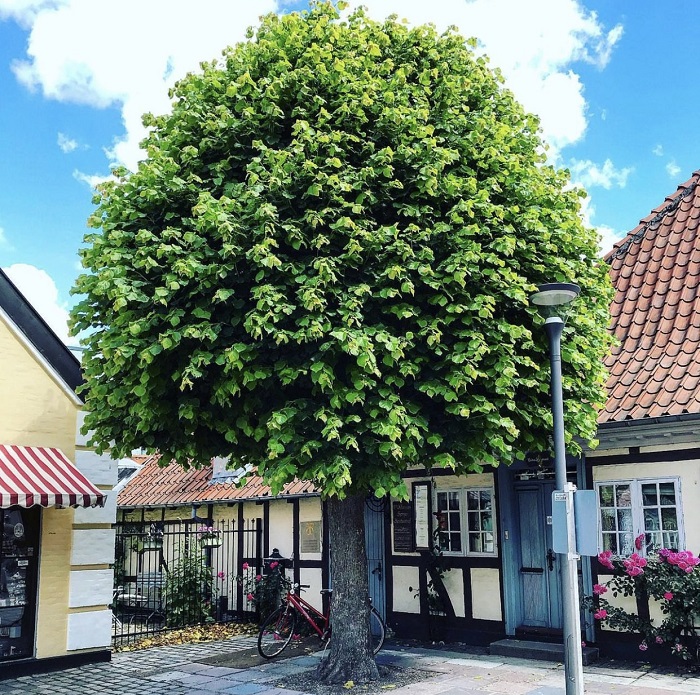 Ngôi nhà của Hans Christian Andersen