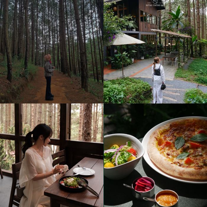 Điểm đến cho người lowkey ở Đà Lạt Rừng Thông Mơ Farm & Bistro
