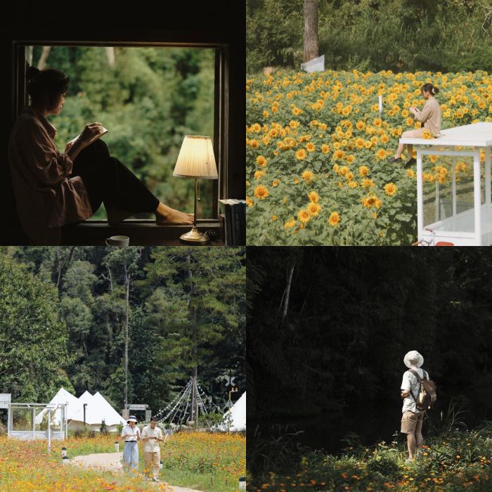 Điểm đến cho người lowkey ở Đà Lạt Dalat Camp