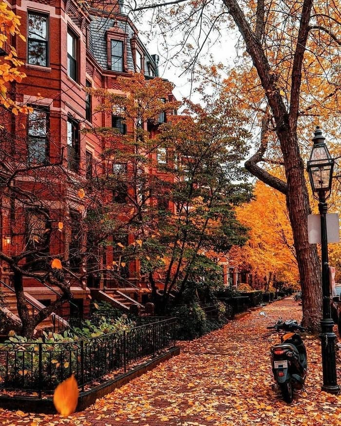 Khám phá thành phố Boston Mỹ