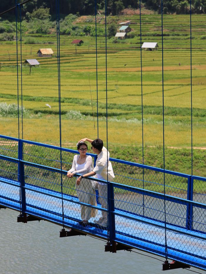 địa điểm chụp ảnh mùa lúa vàng Măng Đen