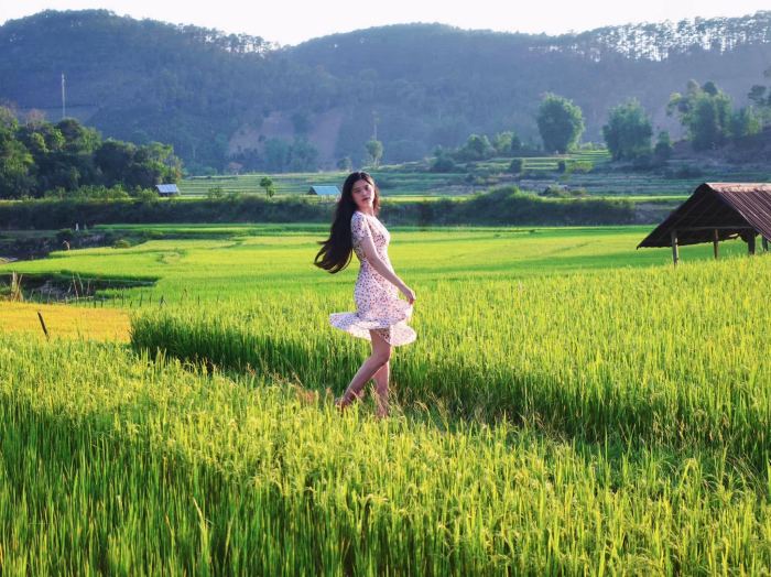 địa điểm chụp ảnh mùa lúa vàng Măng Đen