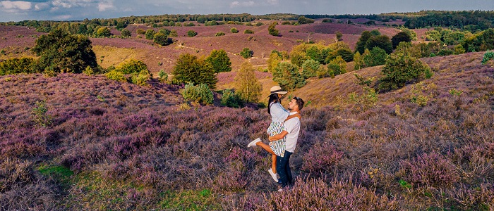 Du lịch Đức mùa thu nên đi Lüneberg Heath