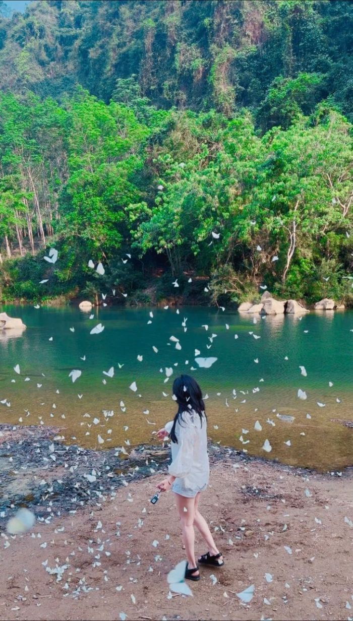 mùa bướm trắng ở Phong Nha 