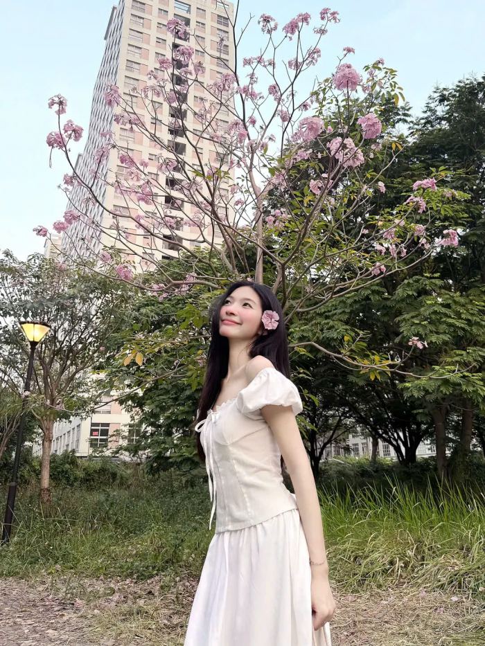 r Mùa hoa kèn hồng Sài Gòn