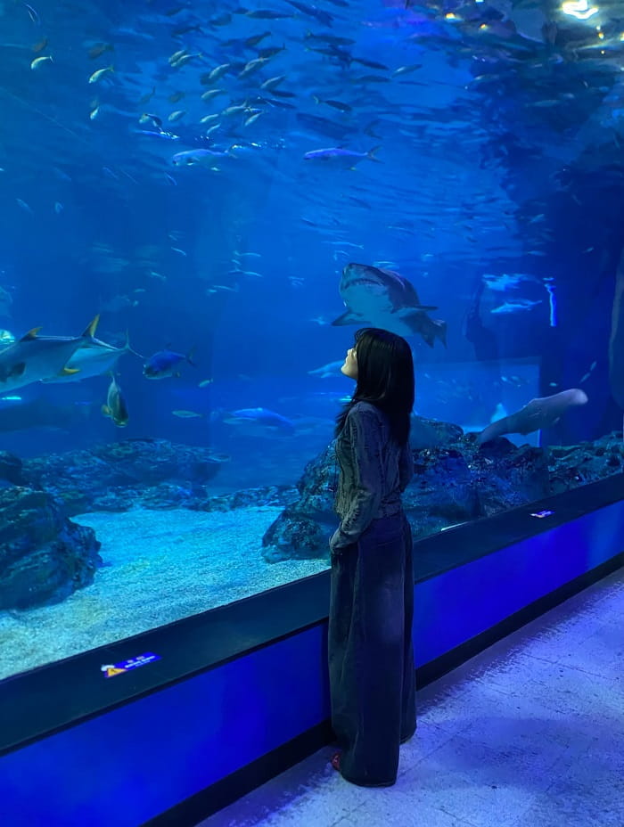 Thủy cung Sealife Busan là điểm tham quan nổi bật tại bãi biển Haeundae