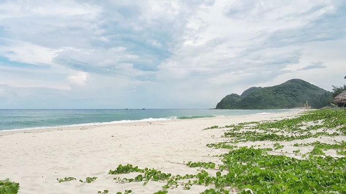 Travel experience on Quang Ninh Ngoc Vung Island in detail