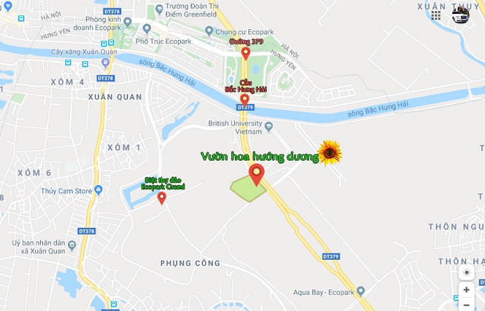 Cánh đồng hoa hướng dương ở Hưng Yên – tọa độ check in 'cháy máy' gần Hà Nội 
