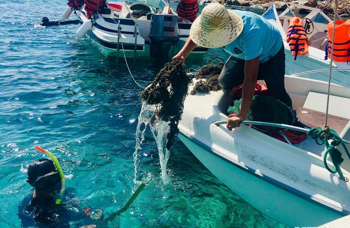 Bí kíp bảo vệ rạn san hô khi đi lặn biển