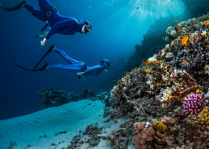 Bảo vệ rạn san hô: Chúng ta đều có trách nhiệm bảo vệ những hệ sinh thái tự nhiên của trái đất, đặc biệt là rạn san hô - một hệ sinh thái vô cùng quan trọng cho đời sống của nhiều loài động thực vật. Hãy đến với rạn san hô và học cách bảo vệ và giữ gìn nó, để chúng ta có một môi trường sống xanh, sạch và đẹp như mơ.
